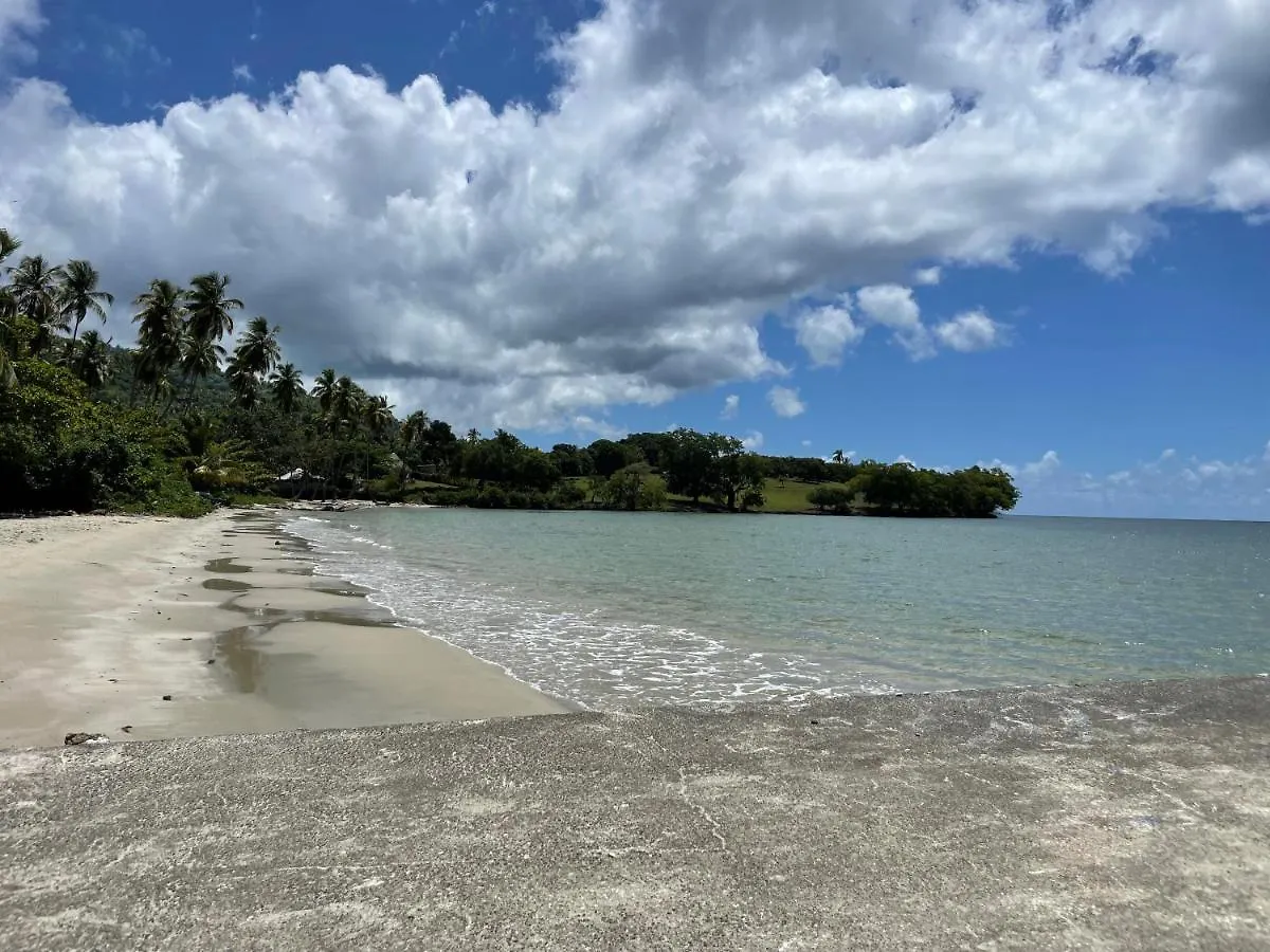 アパート Apartamento Calle 5 No.10, Proyecto Las Pascualas, Samana