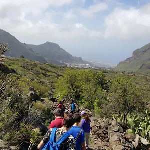 chinyero-path.in-canary-islands.com/